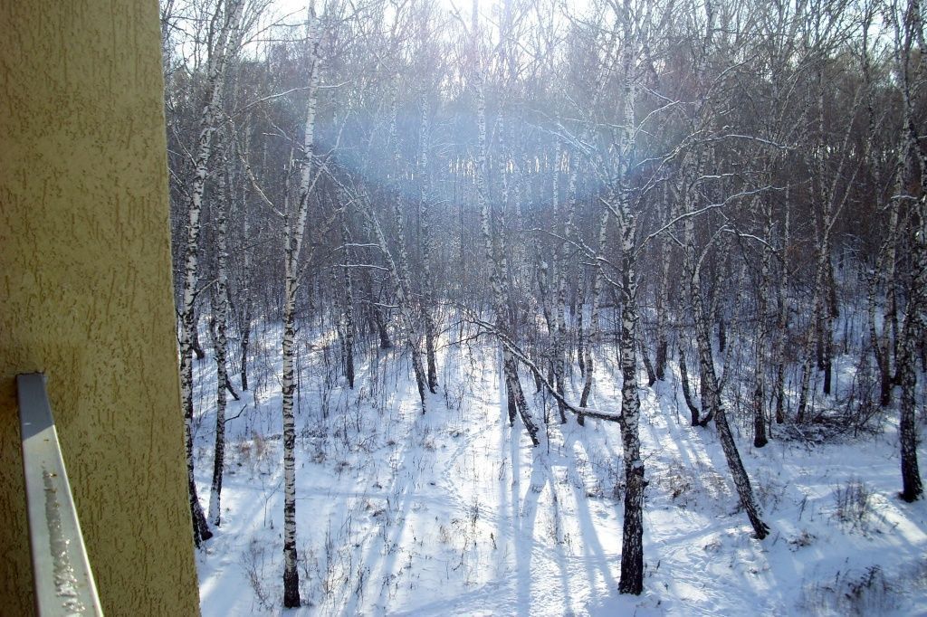 золотая роща 6.JPG