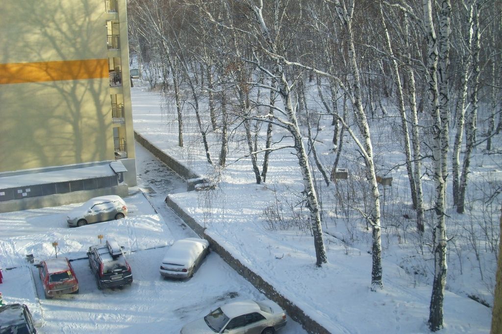 золотая роща 3.JPG