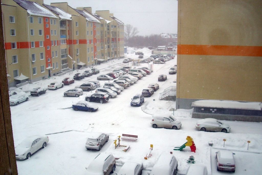 золотая роща 8.JPG